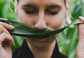 The Nose Knows: How Scents Impact Our Moods